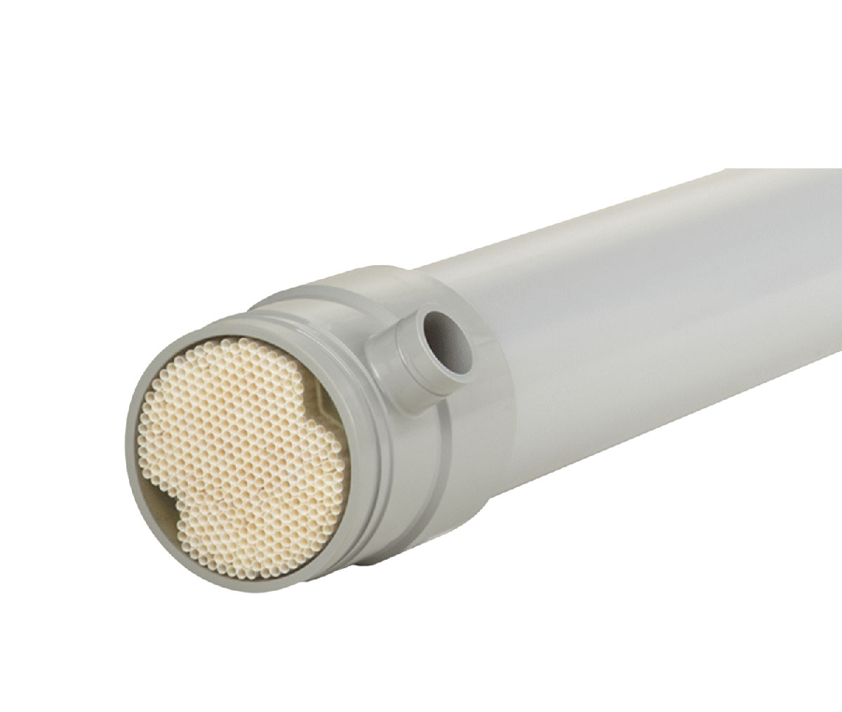 PENTAIR XFLOW ASD Pure Solutions Sdn Bhd