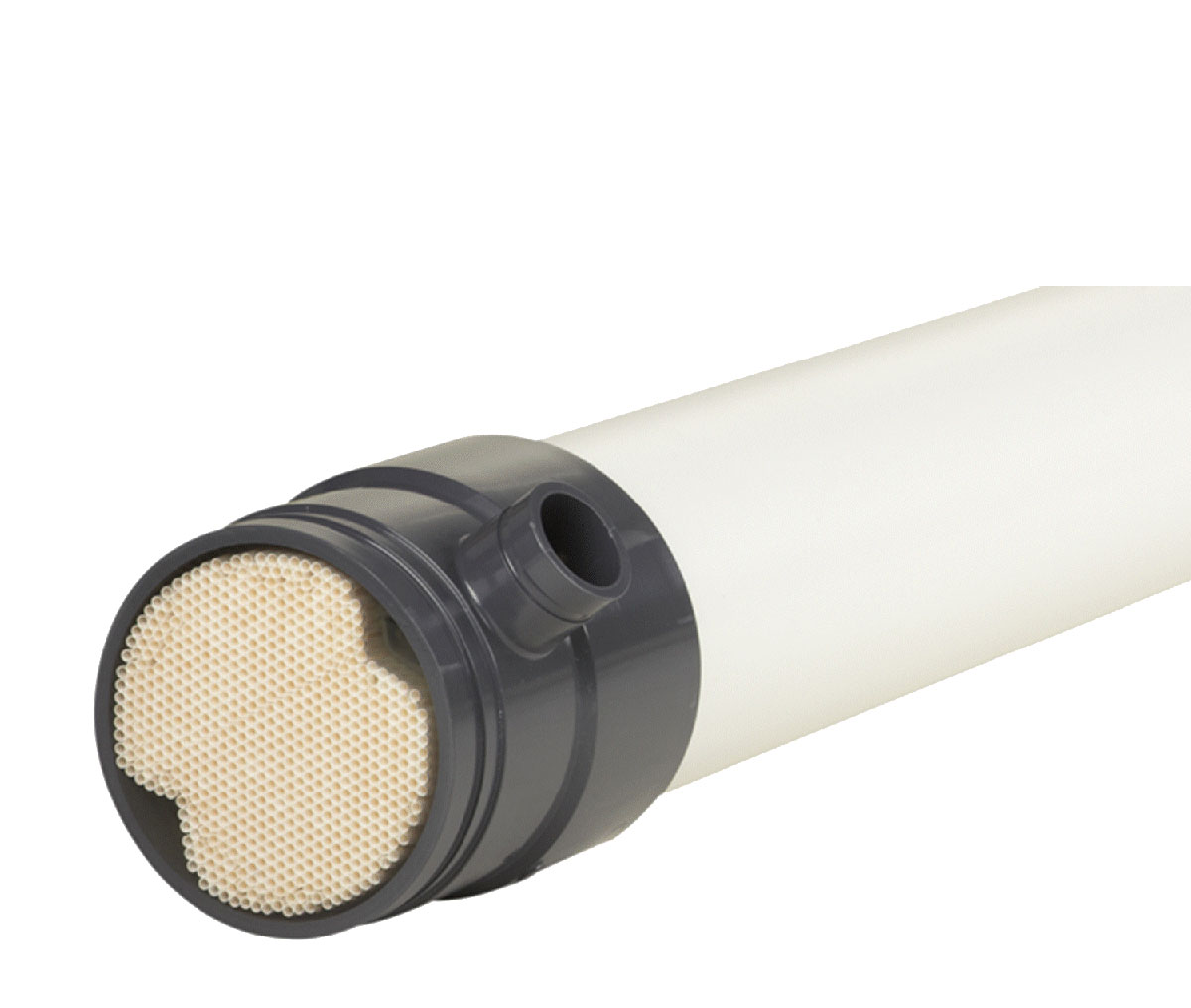 PENTAIR XFLOW ASD Pure Solutions Sdn Bhd